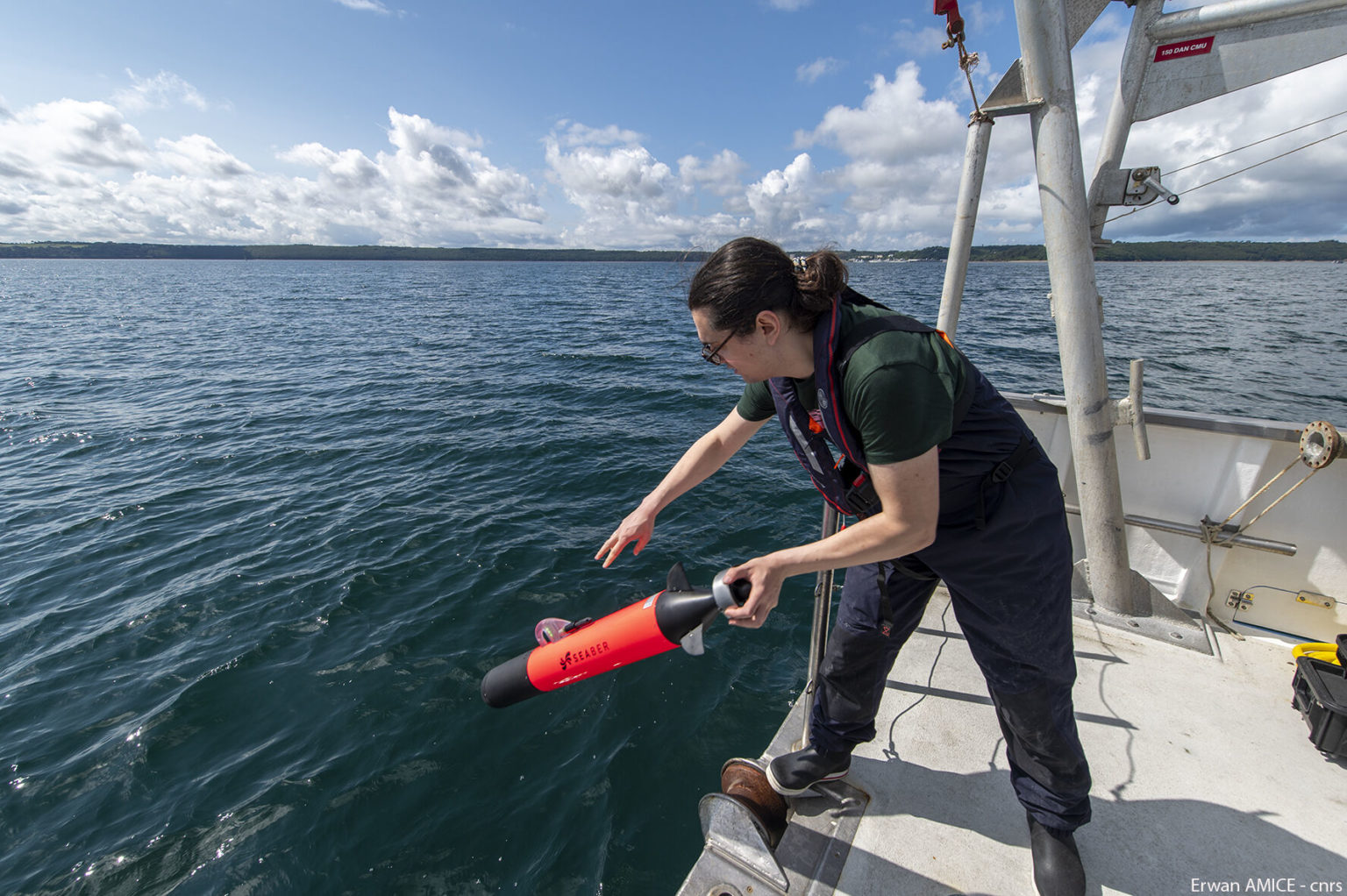 Porpoise recorder integration on YUCO-PAM