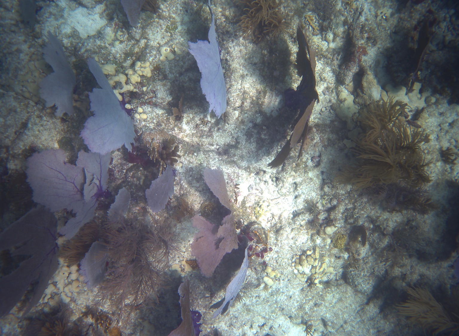 Photogrammetry / imaging data example