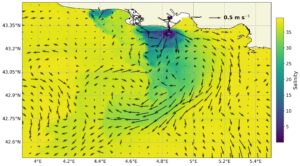 Salinity and surface currents modelled by the MARS3D-MENOR model on November 8 at 12:00. Salinity and surface currents modelled by the MARS3D-MENOR model on November 8 at 12:00.