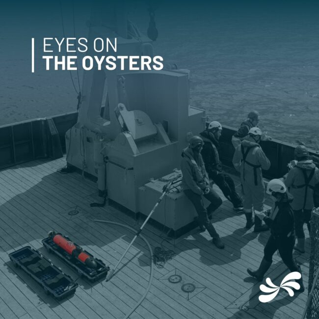 SEABER_AUV_Micro-AUV_Pink_UUV_Hydrographic_Side_Scan_Sonar_PAM_CTD_ASW_YUCO_RECALL_MARVEL_MCM_Mine_Counter_Measures_Security_Coast_Guard_Underwater_Drone_Autonomous Underwater Vehicles_Magnetometer_Sensys_UXO_Multibeam echosounder_MBES_Imagenex_Deep water_Shallow water_survey